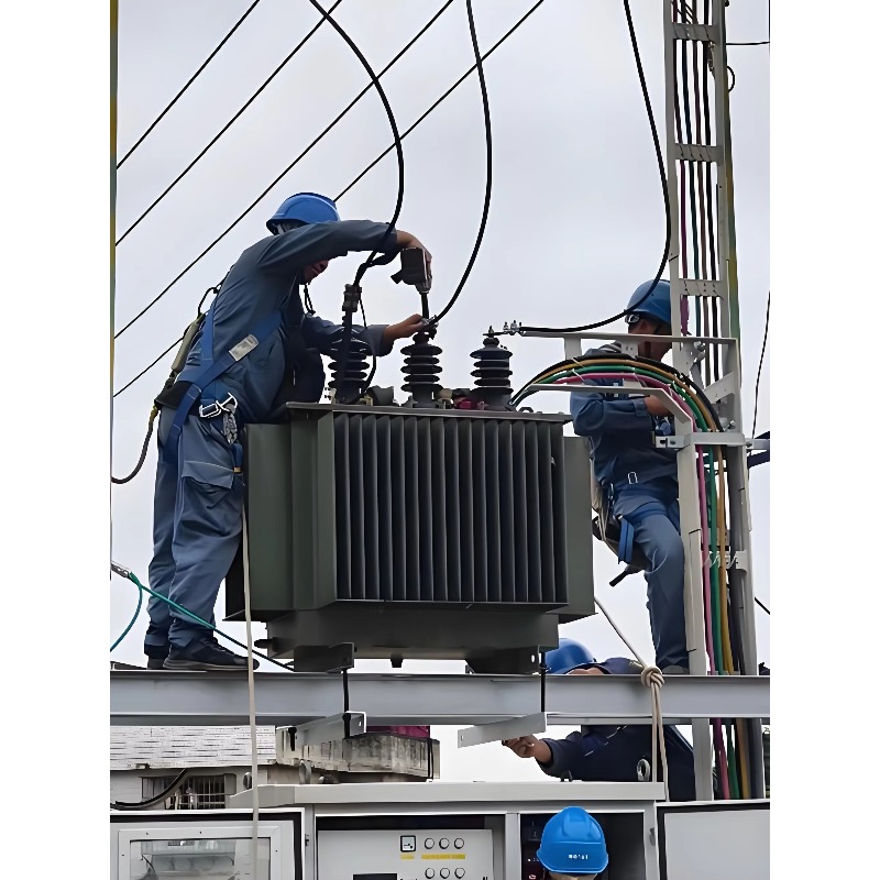 Euro Grid Liquid Immersed Tran - Heavy Equipment Supplier ulasan dan harga
